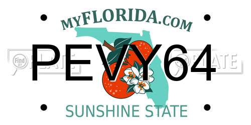 PEVY64 Florida License Plate