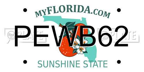 PEWB62 Florida License Plate