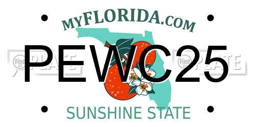 PEWC25 Florida License Plate