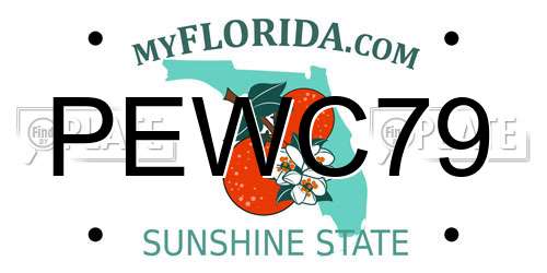 PEWC79 Florida License Plate