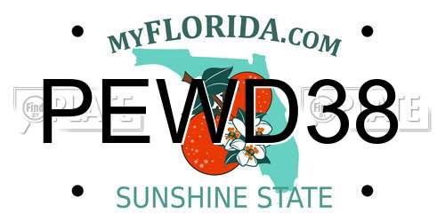 PEWD38 Florida License Plate