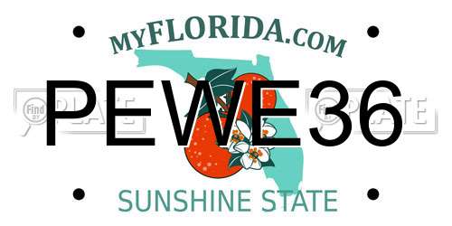 PEWE36 Florida License Plate