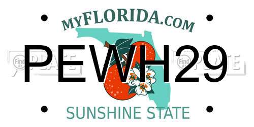 PEWH29 Florida License Plate