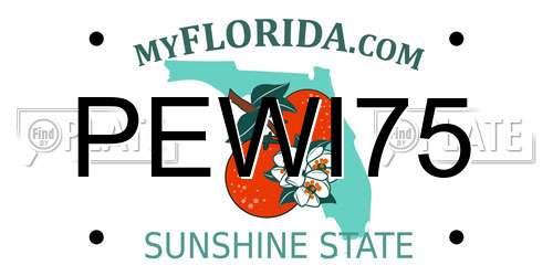 PEWI75 Florida License Plate