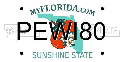 PEWI80 Florida License Plate