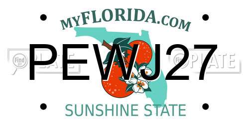 PEWJ27 Florida License Plate