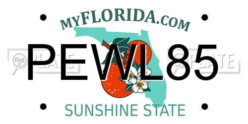 PEWL85 Florida License Plate