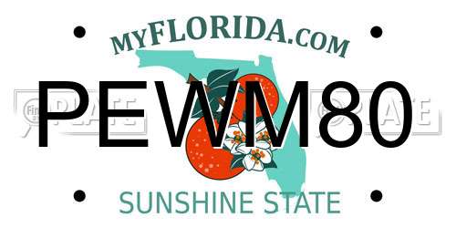 PEWM80 Florida License Plate