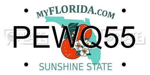 PEWQ55 Florida License Plate
