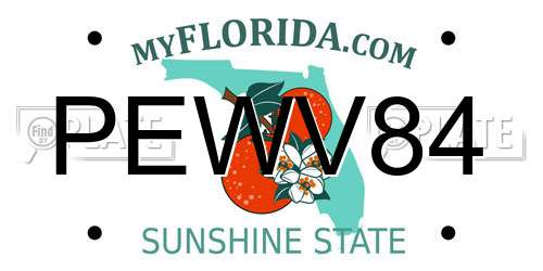 PEWV84 Florida License Plate