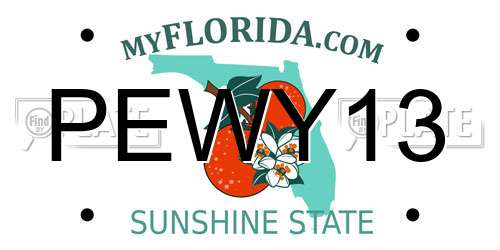 PEWY13 Florida License Plate