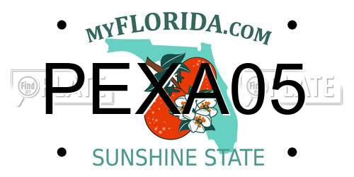 PEXA05 Florida License Plate
