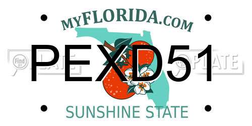 PEXD51 Florida License Plate