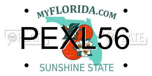 PEXL56 Florida License Plate
