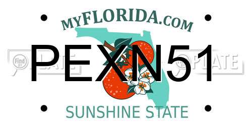 PEXN51 Florida License Plate