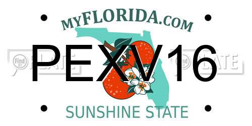 PEXV16 Florida License Plate