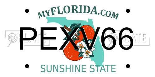 PEXV66 Florida License Plate