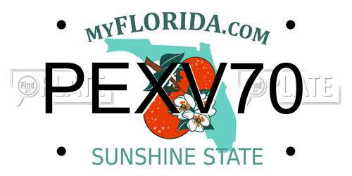 PEXV70 Florida License Plate
