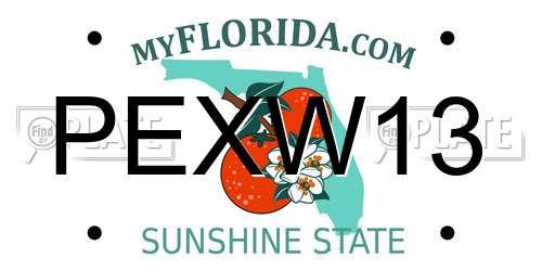 PEXW13 Florida License Plate