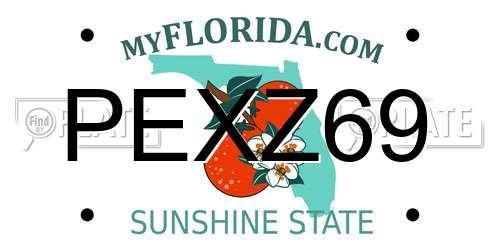 PEXZ69 Florida License Plate