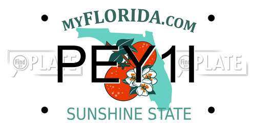 PEY1I Florida License Plate