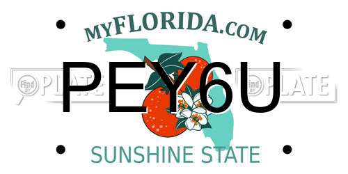 PEY6U Florida License Plate