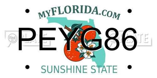 PEYG86 Florida License Plate
