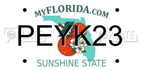 PEYK23 Florida License Plate