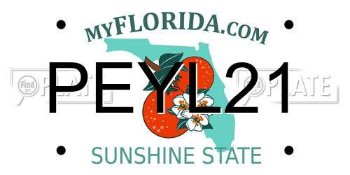 PEYL21 Florida License Plate