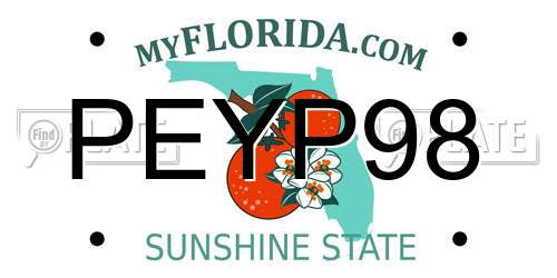 PEYP98 Florida License Plate