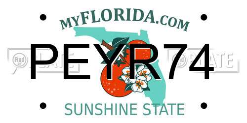 PEYR74 Florida License Plate