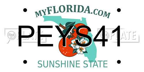 PEYS41 Florida License Plate