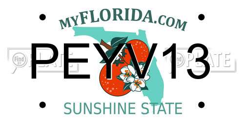 PEYV13 Florida License Plate