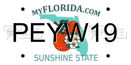 PEYW19 Florida License Plate