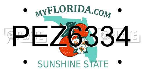 PEZ6334 Florida License Plate