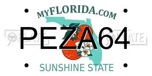 PEZA64 Florida License Plate