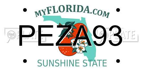 PEZA93 Florida License Plate