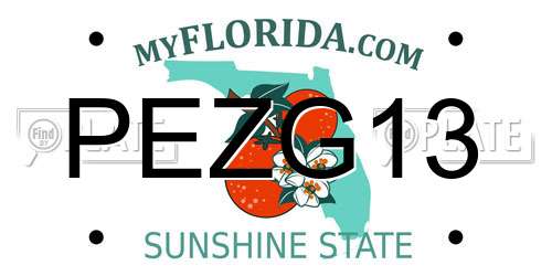 PEZG13 Florida License Plate