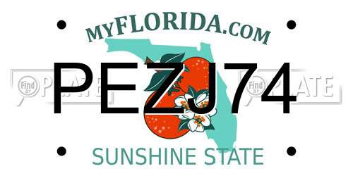 PEZJ74 Florida License Plate