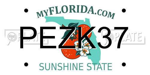 PEZK37 Florida License Plate
