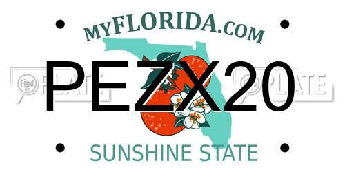 PEZX20 Florida License Plate