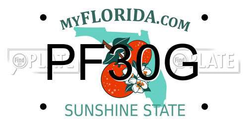 PF30G Florida License Plate