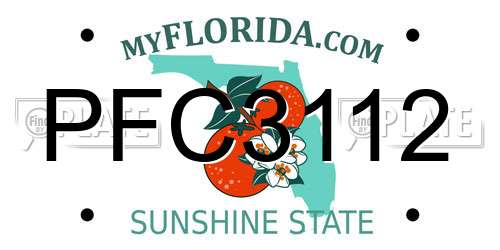 PFC3112 Florida License Plate