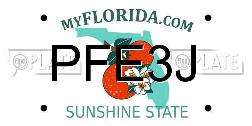 PFE3J Florida License Plate
