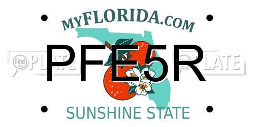 PFE5R Florida License Plate