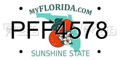 PFF4578 Florida License Plate