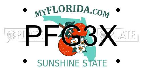 PFG3X Florida License Plate