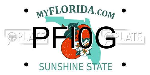 PFI0G Florida License Plate