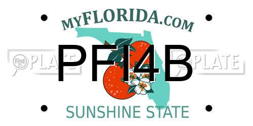 PFI4B Florida License Plate