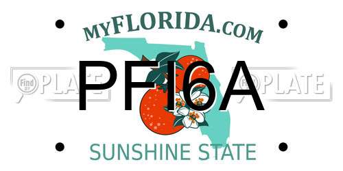 PFI6A Florida License Plate